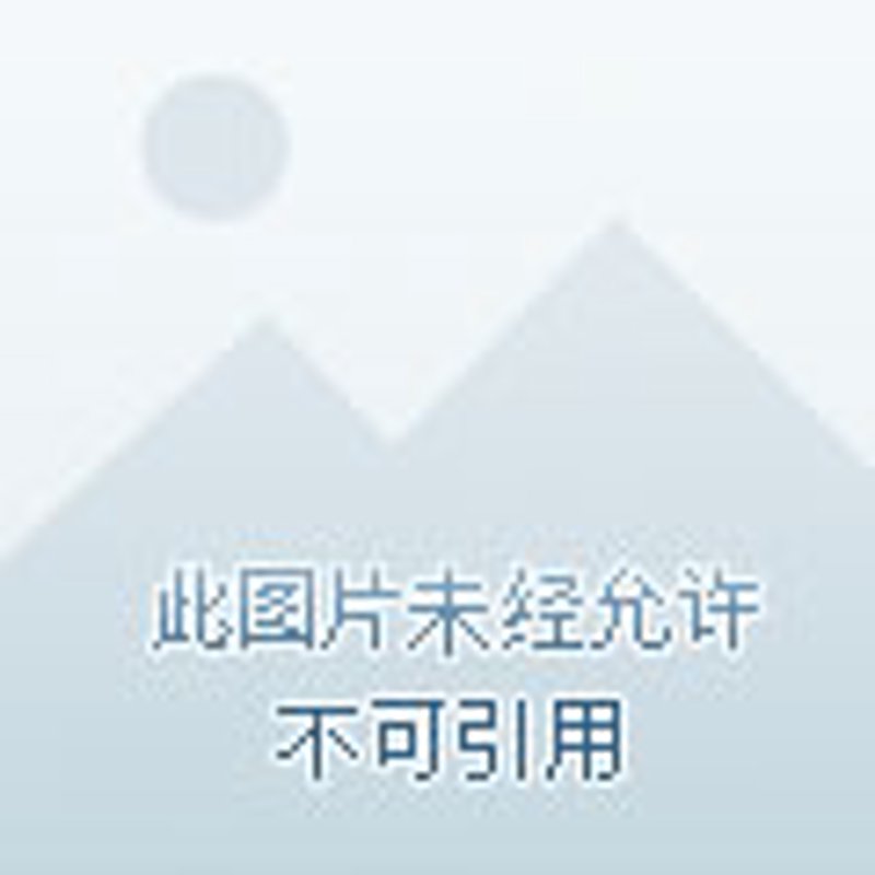 深圳箱包产业：紧跟潮流的新风尚